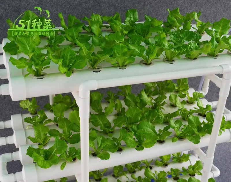 Hydroponics system NFT with 108pcs of net cup. Nutrient Film Technique (NFT)