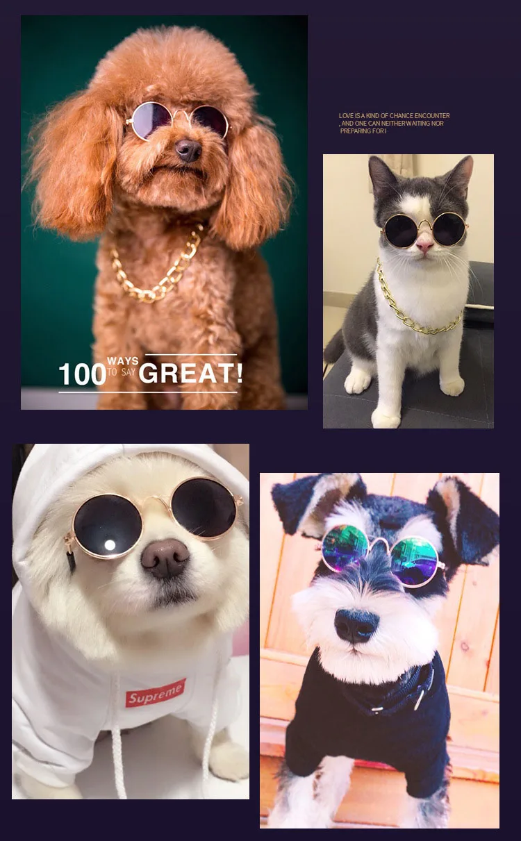 Pawstrip 1 шт. маленькая домашняя собака солнцезащитные очки с металлической оправой кошки уход аксессуары ширина 8 см