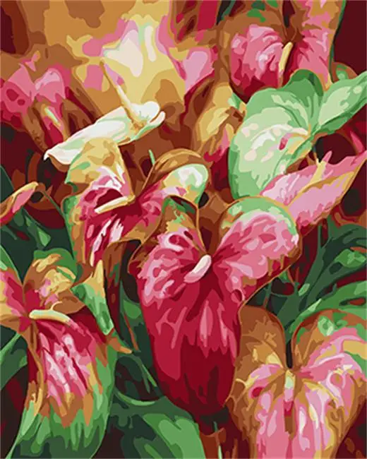 

DRAWJOY Framed Oil Paint DIY Painting By Numbers Painting&Calligraphy Coloring By Numbers Flower For Home Decor