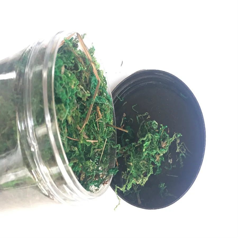 architecture model building kits grass (15)