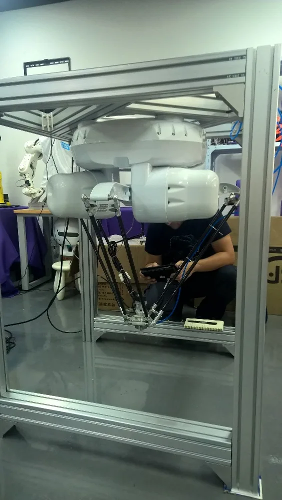 Трой OEM 4 оси Дельта робот поддерживает систему видения заменяет ADTECH Scara робот