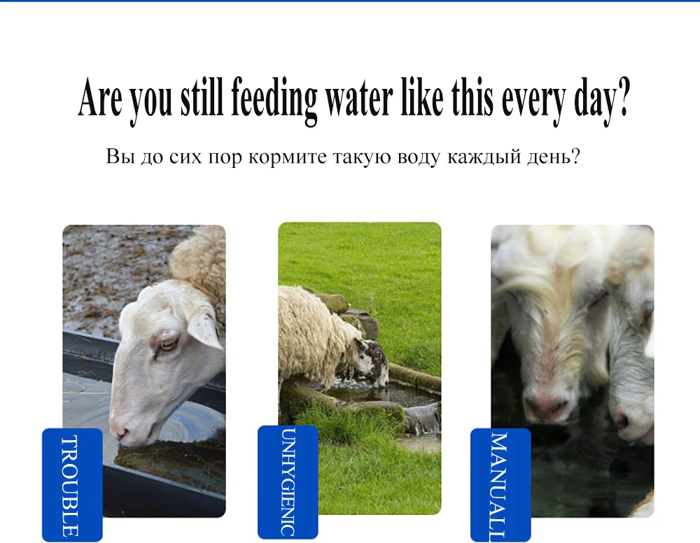 TB2_o99nrsTMeJjSszhXXcGCFXa_!!126754135