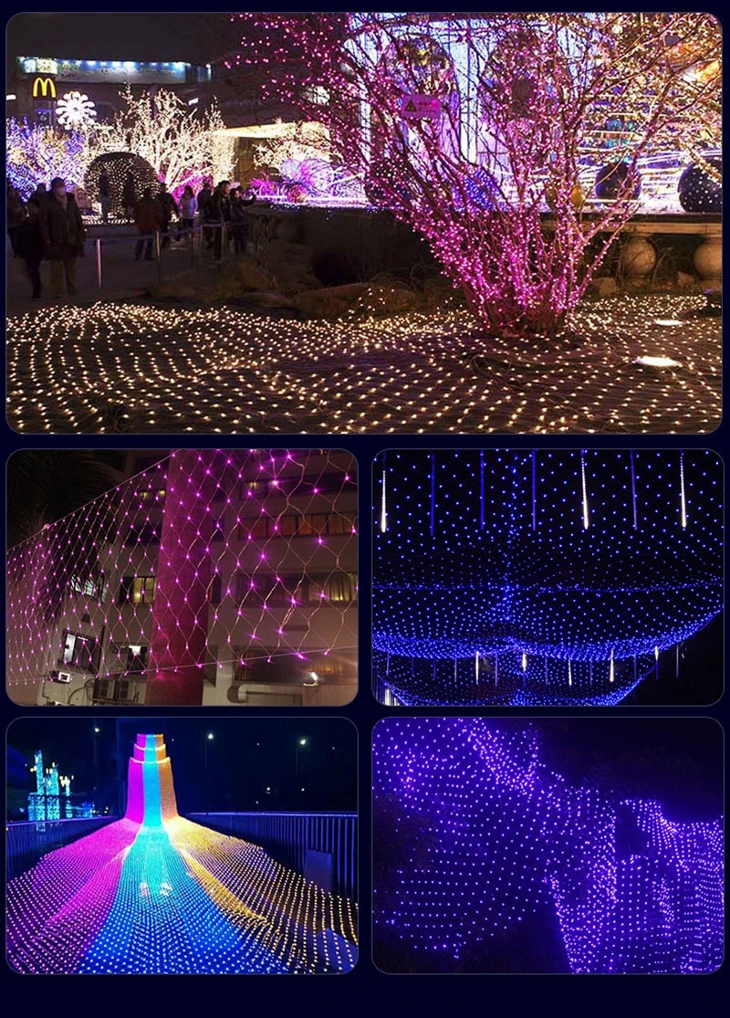 9393980811_407765426