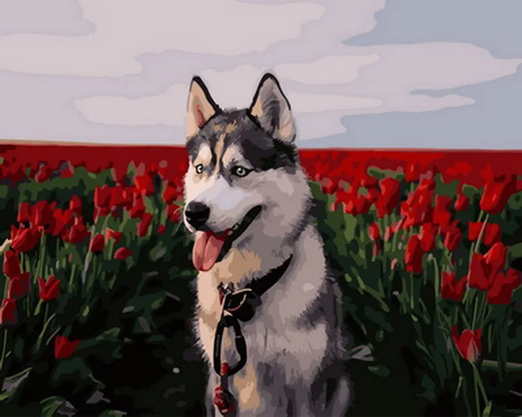 

Frameless painting by numbers animals wall decor diy picture by numbers on canvas for home decor 4050cm Husky