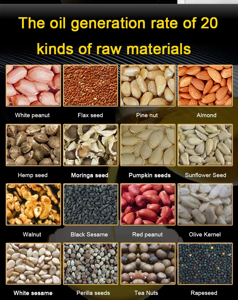 220VHeat and Cold home oil press machine pinenut, cocoa soy bean olive oil press machine high oil extraction rate