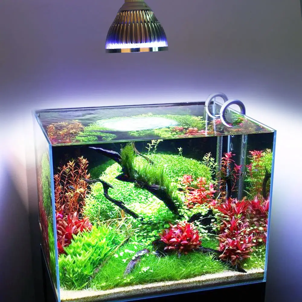 54W 36W Freshwater Saltwater aquarium lighting Marine Reef aquariums Fish tank lights Coral grow Aquatic plants E27 led light (4)