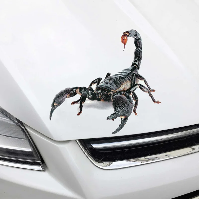 3D ПВХ автомобильная наклейка ящерица Скорпион паук геккон лягушка Наклейка F