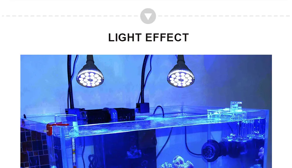 Coral Reef Fish Tank Light  (3)
