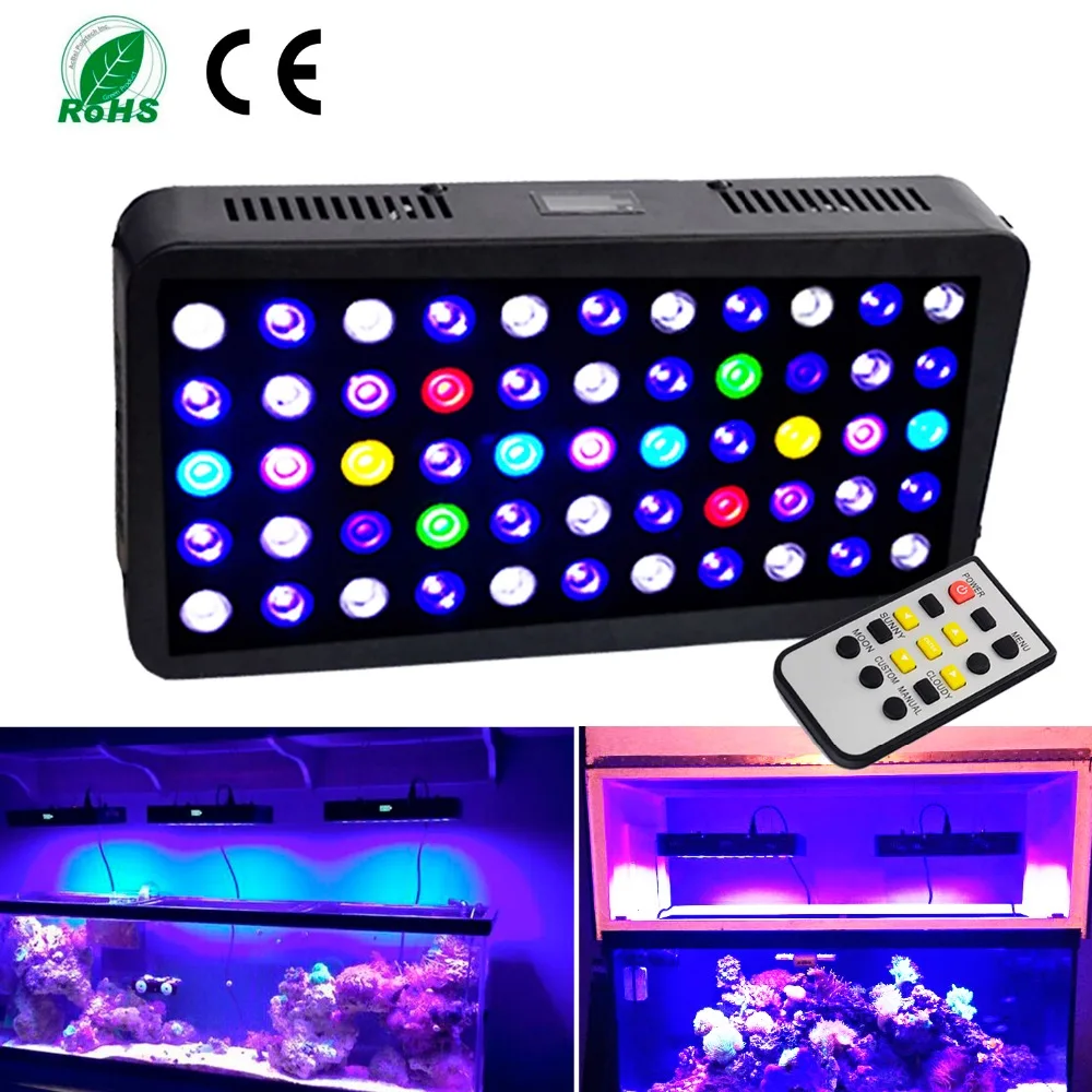 aurora 165 watt timer