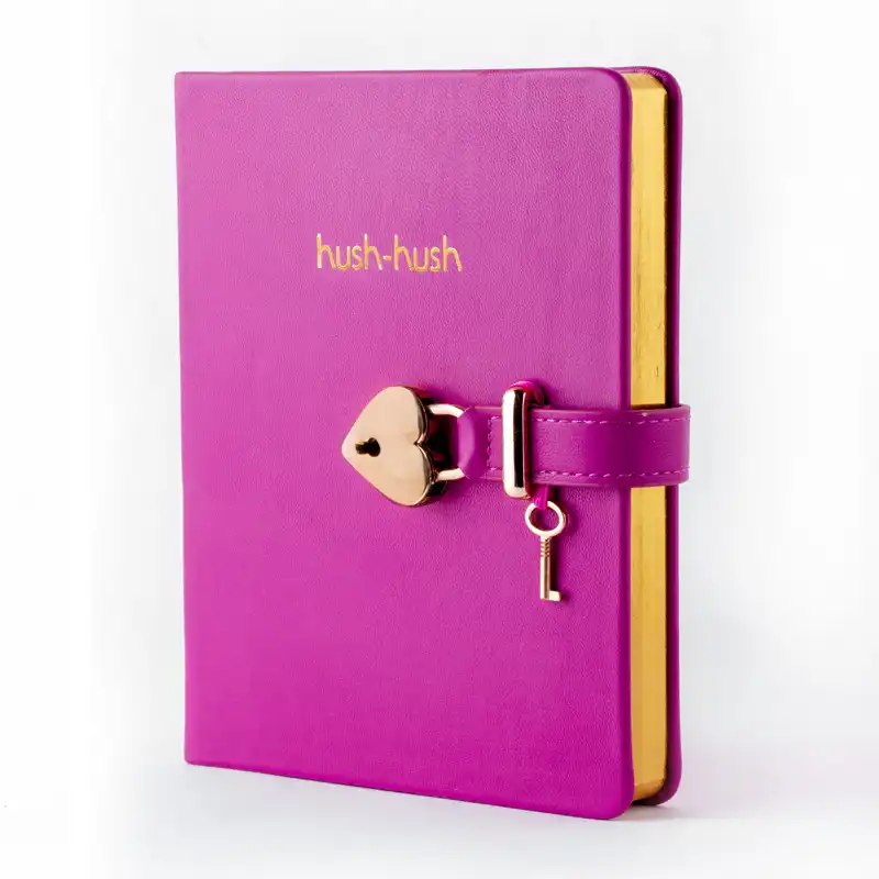 HUSH HUSH MY SECRET DIARY GOLD Edition, Journal Diary Notebook With