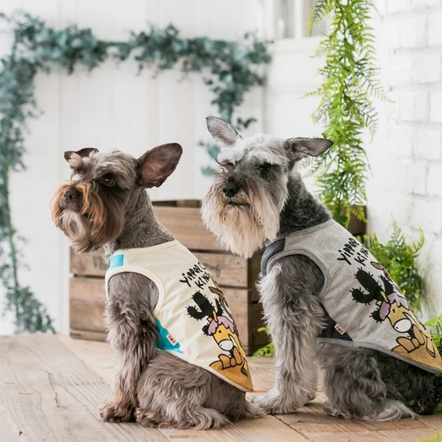 813 10 De Réductionhourra Ki Yay T Shirt Pour Bouledogues Français Et Dautres Petits Chiens Chien Vêtements Code Produit Yky Dans Dog Vests