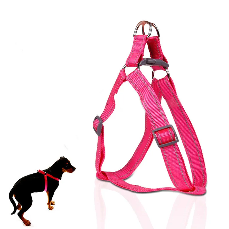 Xl Dog Collars Sale Xl Dog Collars Sale