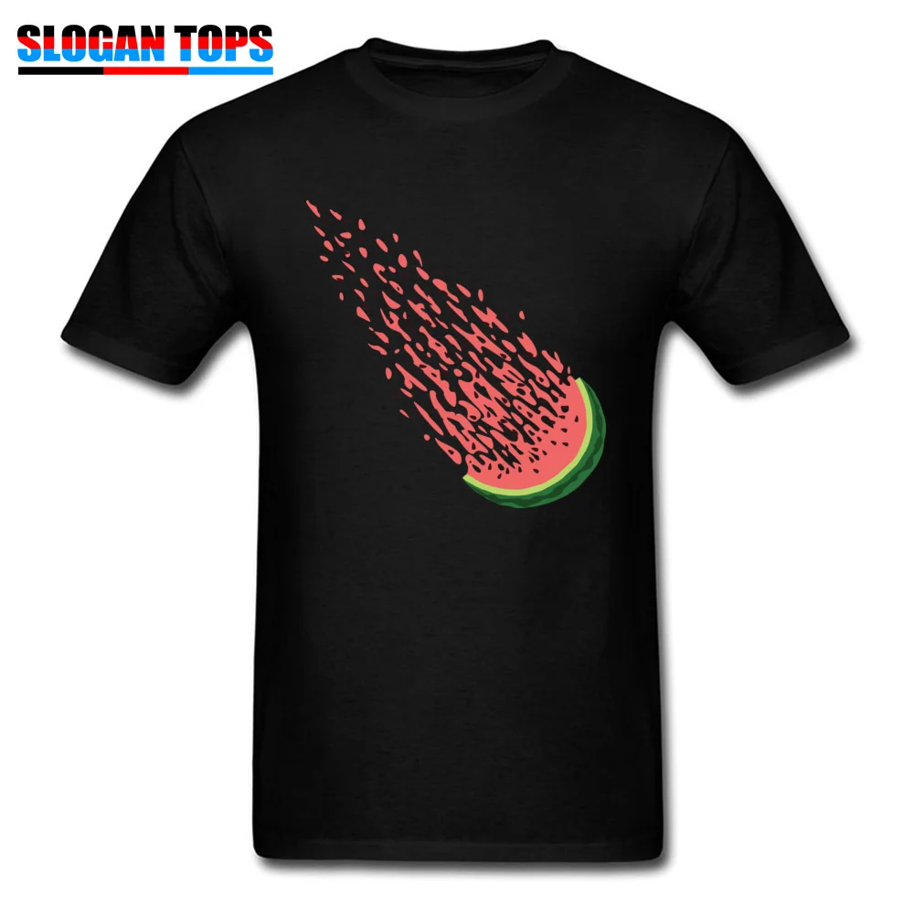WATERMETEORITE Summer Fall 100% Cotton Crew Neck T Shirt Short Sleeve Simple Style T-Shirt Dominant Design Tshirts WATERMETEORITE black