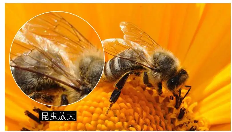 QQ20181106154357