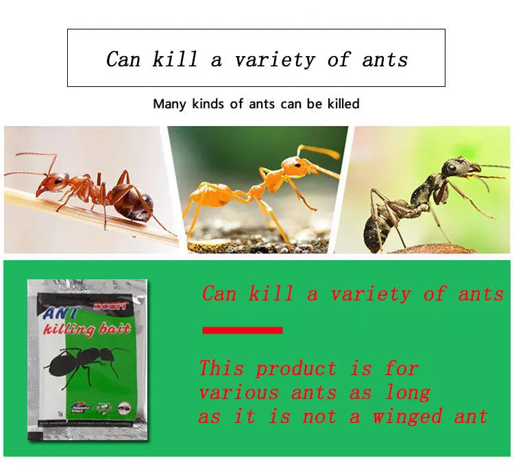 50 шт. мощный универсальный лекарственный порошок против вредителей, антицид, муравьиная медицина, домашний Термит, порошок, инсектицид, приманка, раствор пестицидов