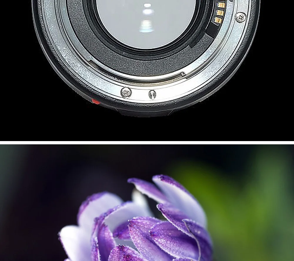 YN100mm-F2-AF_05