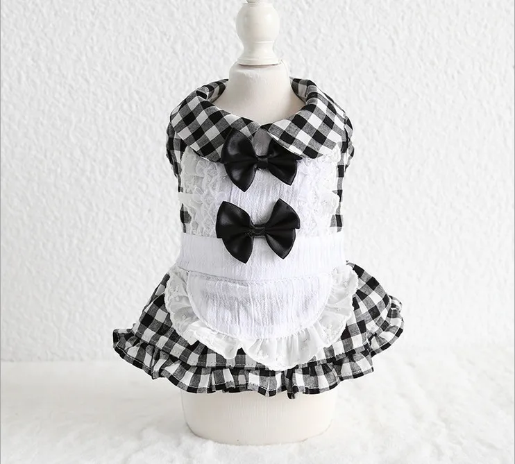 19SS01 (2)