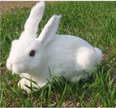 

WYZHY New Year Creative Gifts Simulation Fur Animal Simulation Big Rabbit Friends Children Gifts 34CMx25CM