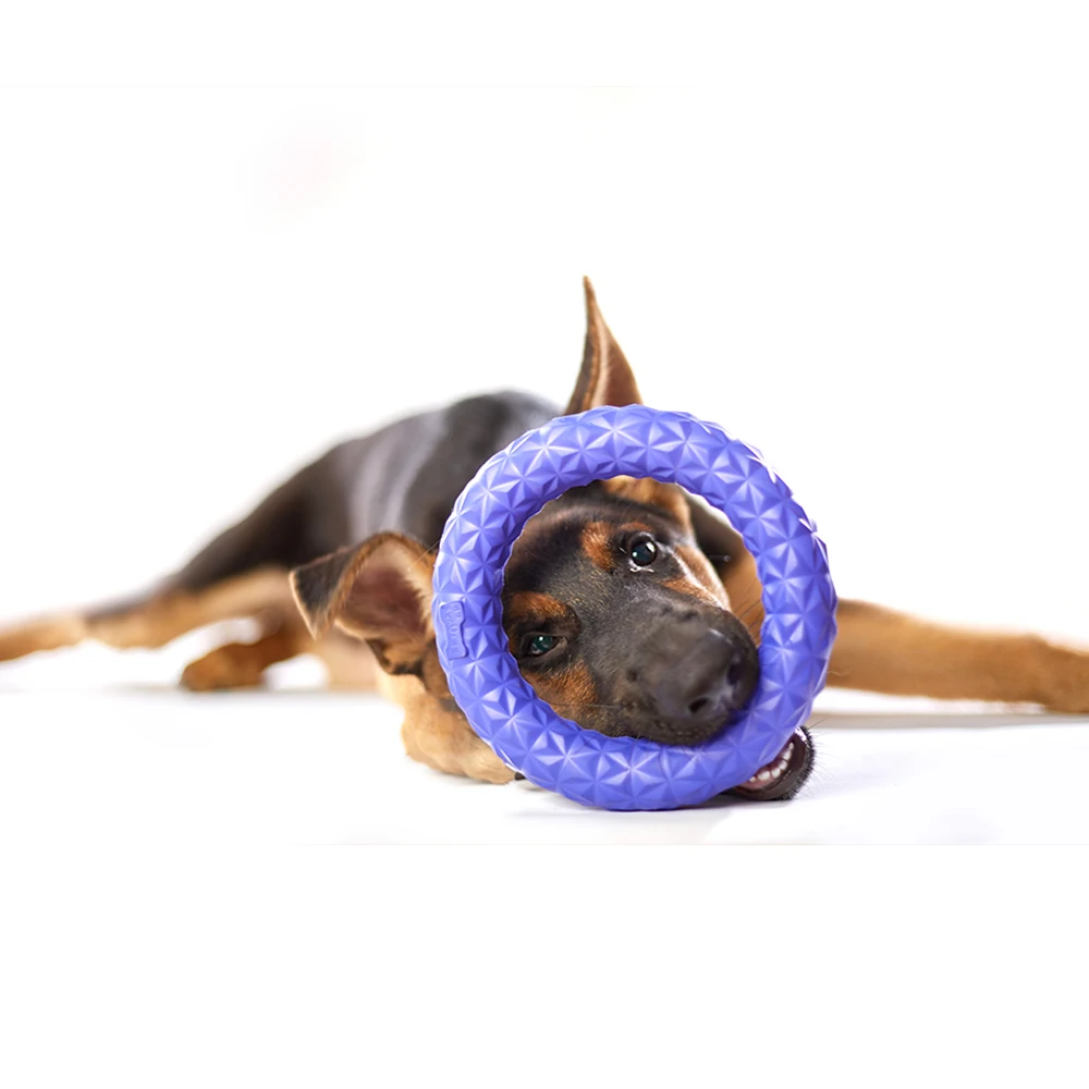 الكلب لعب مضغ خاتم الأسنان نظيفة لعبة تحلق أقراص مضغ TPR دغة مقاومة لعبة للكلاب التفاعلية صغيرة كبيرة الكلب مستلزمات الحيوانات الأليفة الكلب لعب مضغ خاتم الأسنان نظيفة لعبة تحلق أقراص مضغ TPR دغة مقاومة لعبة للكلاب التفاعلية صغيرة كبيرة الكلب مستلزمات الحيوانات الأليفة