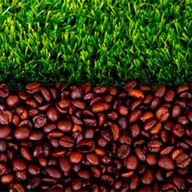 Bonsai 20pcs Coffee Bean Organic Vegetable Planting Potted Tree Home