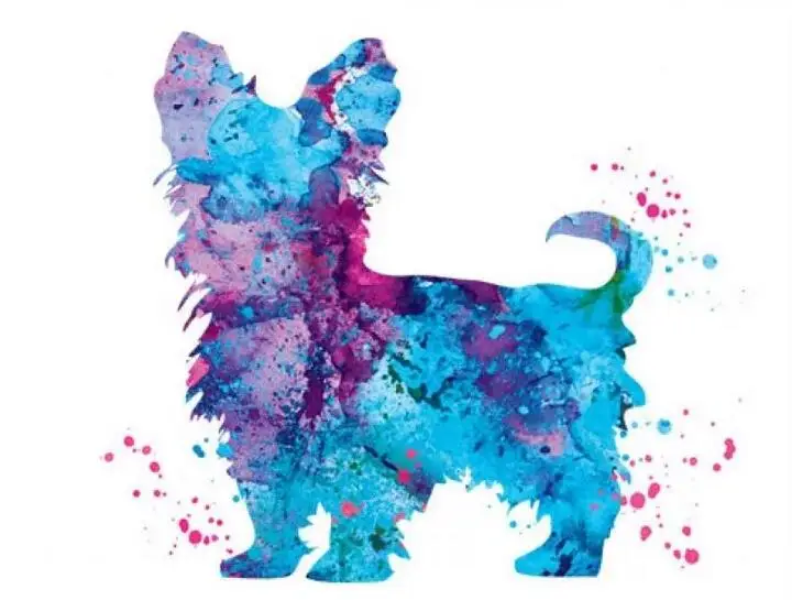 watercolor Dog, Pomeranian 4