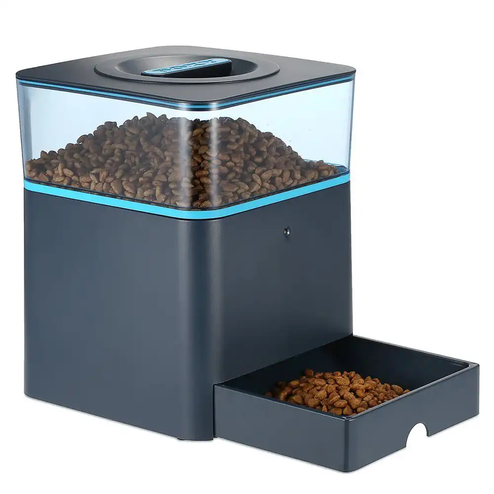 papillon breeders near me