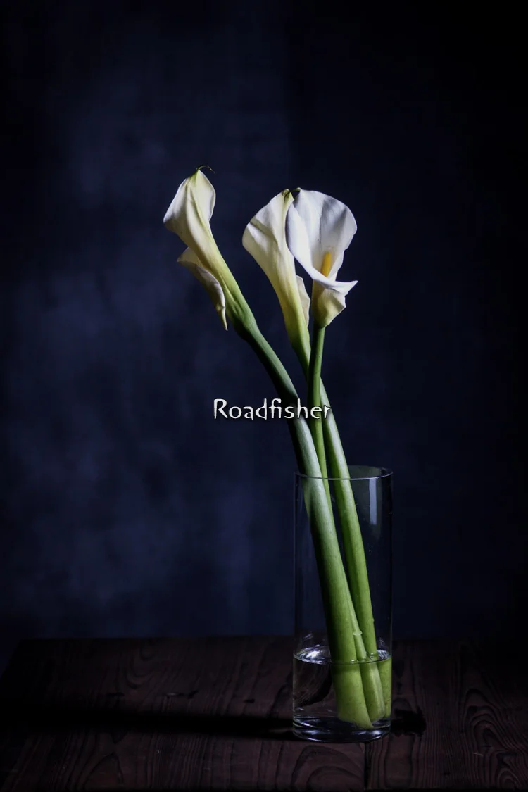 Photography backdrop cloth -24