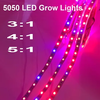 

5 M LED Phyto Lamps Full Spectrum LED Strip Light 300 LEDs 5050 Chip LED Fitolampy Grow Lights For Greenhouse Hydroponic plant