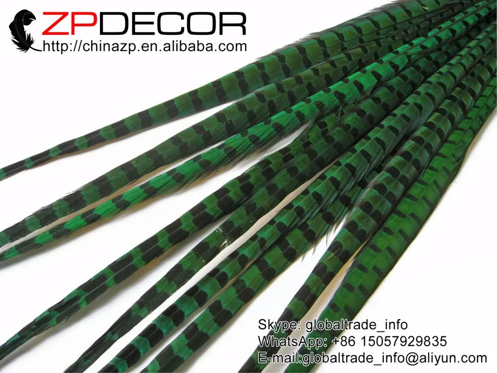 Pheasant Feathers, 50 Pieces - 20-22  PEACOCK GREEN Ringneck Pheasant Tail Feathers 2