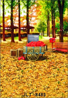 

5x10ft Vinyl Custom Digital Photography Backdrops Props Photo Studio Backgrounds SK-8483