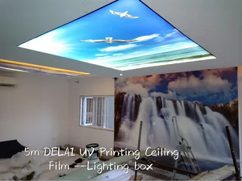 

New Arrival Seagull flying in the sun UV Printing stretch ceiling film with Beach Pvc Ceiling Film