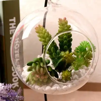 O Roselif Hanging Glass Vaso Decorativoterrariums Balls Flower
