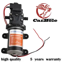 CARBOLE 12 В в Seaflo 100 PSI водяной насос RV лодка высокого давления морской/лодка 4 года гарантии OE SFDP1-013-100-22 793945643691