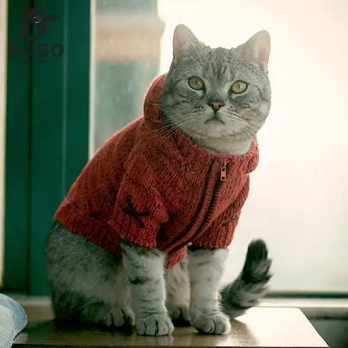 Cat Wearing Clothes Coloring Pages 7