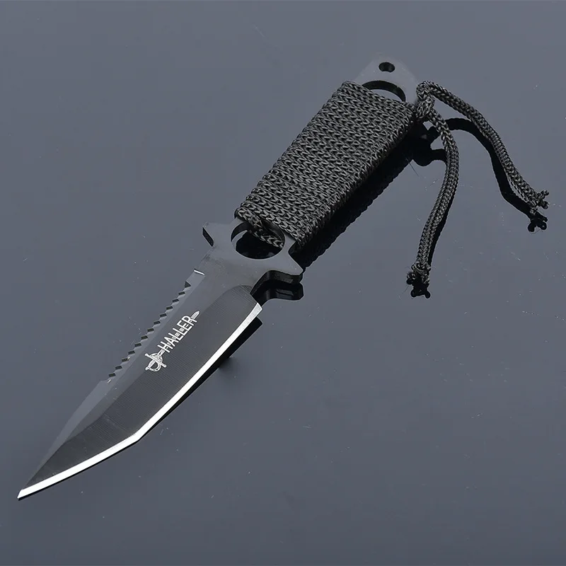 2504400073_731435421