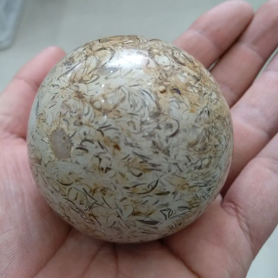 QQ20190416215921