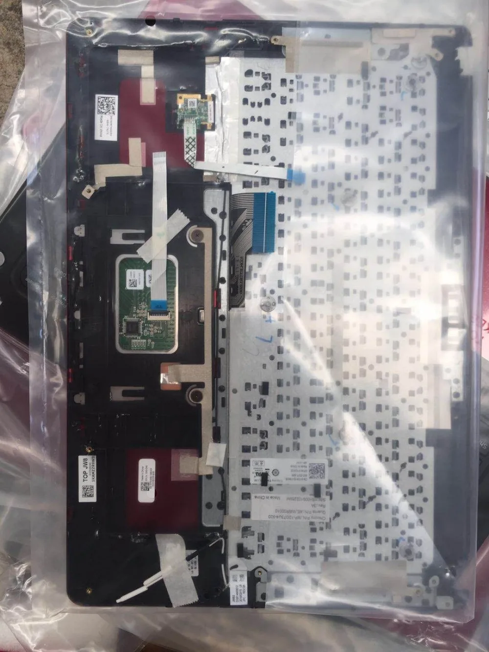 V5460 C