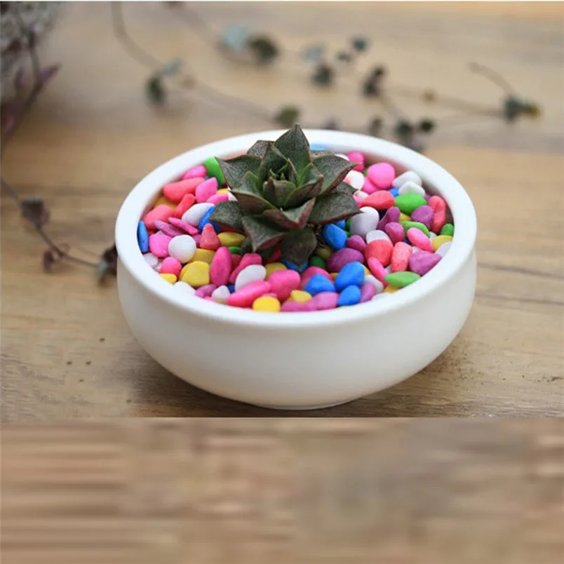 50G Juicy seeds Ass Seed Flower Living Stone Bonsai Natural Colorful Stone new home decor #3d05 (4)