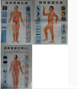 

3 pcs acupuncture cupping/scraping massage charts front/back/side acupuncture treatment massage map