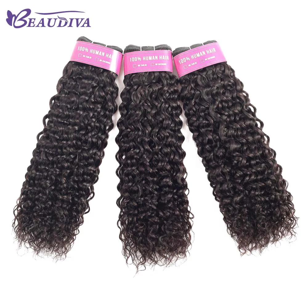 Beaudiva Curly Bundles With Lace Closure Brazilian Human Hair Bundles With Closure Remy Hair Extensions Bundles With Closure