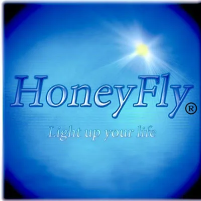 HoneyFly-lámpara halógena regulable MR16, foco de bombilla halógena de 12V,  20W/35W/50W, 2700-3000K