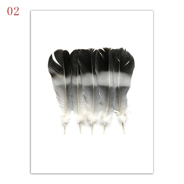 Modern-Printing-Art-Feather-Still-Life-Pictures-Nordic-Style-A4-Poster-Living-Room-Wall-Canvas-Branch.jpg_640x640 (2)