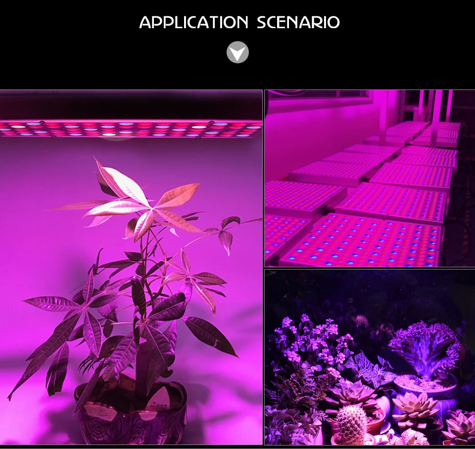 LED Grow Light 25W AC 85-265V Fitolampy Lamp for Plants Flowers Seedlings 75LEDs Indoor Full Spectrum Plant Grow Light Kit (12)