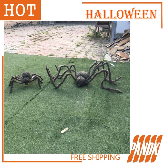 Spider decoration over house Spider decoration over house