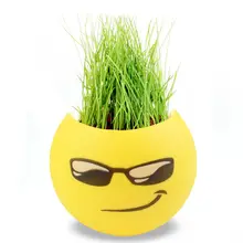 6 Styles Originality Mini DIY Bonsai Seeds Cute Funny Mini Flowerpot DIY Office Bonsai Halloween Gifts Balcony Flower Seed