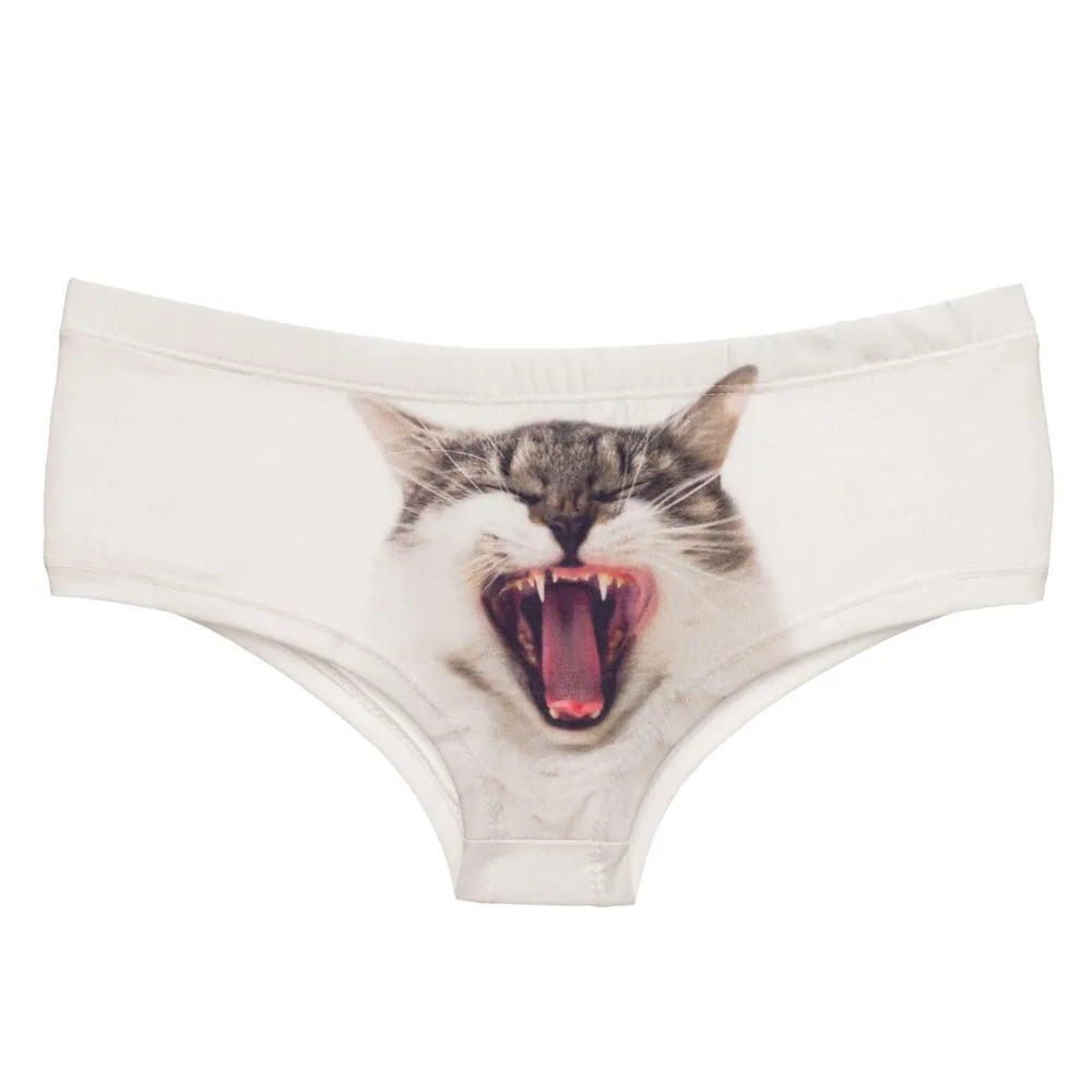 37066 YAWNING CAT (3)