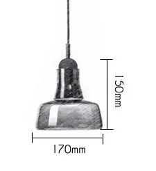 modern kitchen lamps Glass shade Lens Bowl pendant lamps led lights Decorative Lamp Smoke Grey shadows (5)