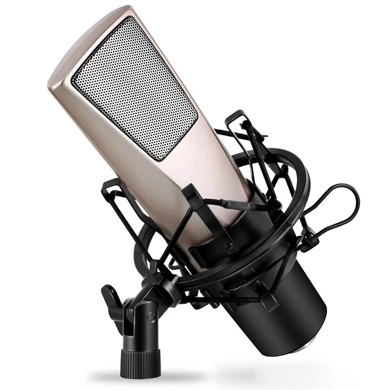 

Professional Condenser Microphone Studio Broadcasting Mic with Mount for Computer PC Desktop IJS998