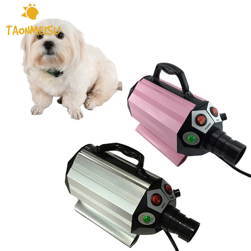 wholesale dog market near me