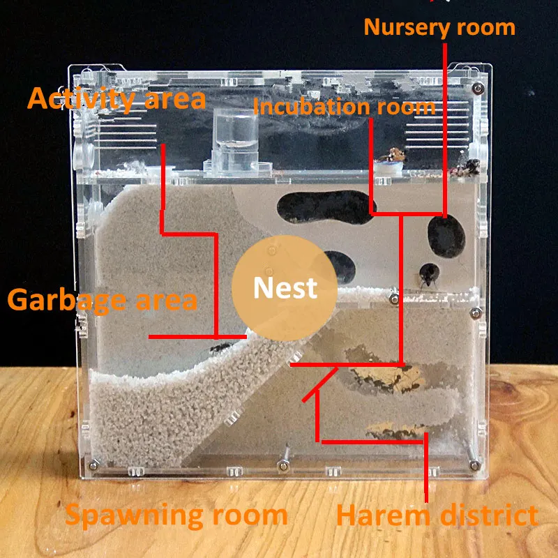 Муравей мастерская экологический акриловый Муравьиное гнездо акриловый песок гнездо песочный замок дома жизни для муравьев